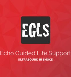 ECHO-Guided Life Support Using ultrasound to categorise shock and guide initial management (CME VIDEOS)