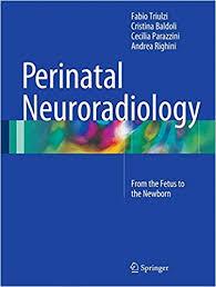 Perinatal Neuroradiology :From the Fetus to the Newborn