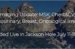 Diagnostic Imaging Update: MSK; Chest&CV; Abdominal; Genitourinary; Breast; Oncological Imaging 2022 (CME VIDEOS)