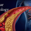 Vascular Technology Review 2022 (CME VIDEOS)