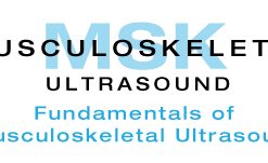 Fundamentals of Musculoskeletal Ultrasound Course — San Diego 2021 (CME VIDEOS)