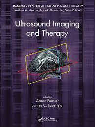 Ultrasound Imaging and Therapy (Imaging in Medical Diagnosis and Therapy)