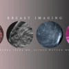 Breast Imaging (BUNDLE) – Debra Ikeda M.D., Alfred Watson M.D 2020 (CME VIDEOS)