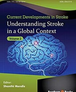 Understanding Stroke in a Global Context (Current Developments in Stroke)