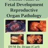 Colour Atlas of Fetal Development and Reproductive Organ Pathology in Food Animals