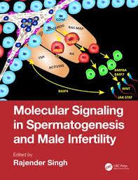 Molecular Signaling in Spermatogenesis and Male Infertility 1st Edition