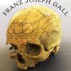 Franz Joseph Gall: Naturalist of the Mind, Visionary of the Brain 1st Edition