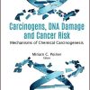 Carcinogens, DNA Damage and Cancer Risk: Mechanisms of Chemical Carcinogenesis 1st Edition