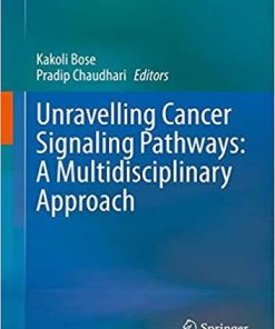 Unravelling Cancer Signaling Pathways: A Multidisciplinary Approach 1st ed. 2019 Edition