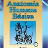 Anatomia Humana Básica (Em Portuguese do Brasil)