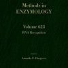 RNA Recognition, Volume 623 (Methods in Enzymology) 1st Edition