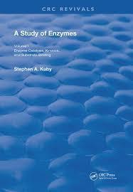 A Study of Enzymes: Enzyme Catalysts, Kinetics, and Substrate Binding (Routledge Revivals) 1st Edition