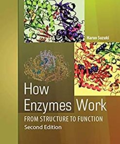 How Enzymes Work: From Structure to Function 2nd Edition