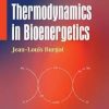 Thermodynamics in Bioenergetics 1st Edition