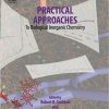 Practical Approaches to Biological Inorganic Chemistry 1st Edition