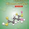 Chemistry of Biomolecules, Second Edition 2nd Edition