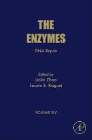 DNA Repair, Volume 45 (The Enzymes) 1st Edition