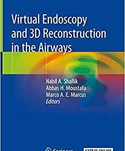 Virtual Endoscopy and 3D Reconstruction in the Airways 1st ed. 2019 Edition