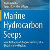 Marine Hydrocarbon Seeps: Microbiology and Biogeochemistry of a Global Marine Habitat (Springer Oceanography) 1st ed. 2020 Edition