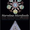 Marvelous Microfossils: Creators, Timekeepers, Architects Hardcover – March 3, 2020