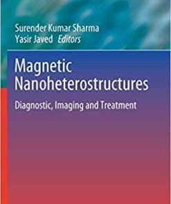 Magnetic Nanoheterostructures: Diagnostic, Imaging and Treatment (Nanomedicine and Nanotoxicology) 1st ed. 2020 Edition