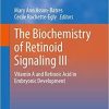 The Biochemistry of Retinoid Signaling III: Vitamin A and Retinoic Acid in Embryonic Development (Subcellular Biochemistry (95)) 1st ed. 2020 Edition