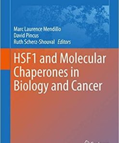 HSF1 and Molecular Chaperones in Biology and Cancer (Advances in Experimental Medicine and Biology (1243)) 1st ed. 2020 Edition