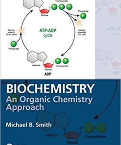 Biochemistry: An Organic Chemistry Approach 1st Edition