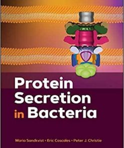 Protein Secretion in Bacteria (ASM Books) 1st Edition