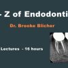 A to Z Endodontics