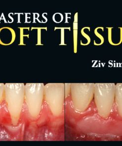 Masters of Soft Tissue – Ziv Simon