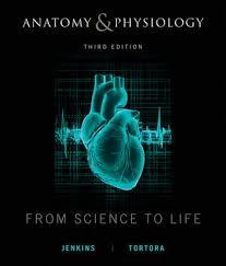 Anatomy and Physiology: From Science to Life, 3rd Edition