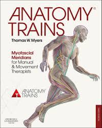 Anatomy Trains: Myofascial Meridians for Manual and Movement Therapists