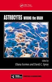 Astrocytes: Wiring the Brain (Frontiers in Neuroscience)