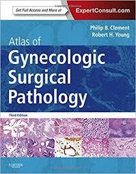 Atlas of Gynecologic Surgical Pathology 3e 3rd Edition