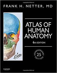 Atlas of Human Anatomy, Professional Edition 6e