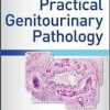 Atlas of Practical Genitourinary Pathology 1st Edition