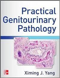 Atlas of Practical Genitourinary Pathology 1st Edition