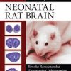 Atlas of the Neonatal Rat Brain