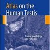 Atlas on the Human Testis: Normal Morphology and Pathology 2013th Edition