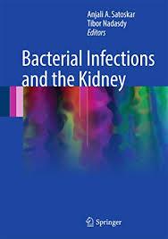 Bacterial Infections and the Kidney 1st ed