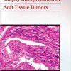 Biopsy Interpretation of Soft Tissue Tumors (Biopsy Interpretation Series)