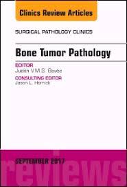 Bone Tumor Pathology, An Issue of Surgical Pathology Clinics, E-Book (The Clinics: Internal Medicine)