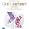 Diagnostic Pathology: Genitourinary, 2nd Edition -Original PDF