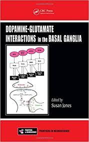 Dopamine – Glutamate Interactions in the Basal Ganglia (Frontiers in Neuroscience)