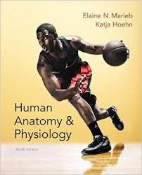 Human Anatomy & Physiology 10th Edition