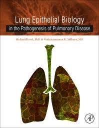 Lung Epithelial Biology in the Pathogenesis of Pulmonary Disease 1st Edition