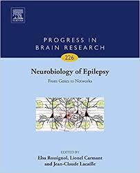 Neurobiology of Epilepsy: From Genes to Networks (Progress in Brain Research)