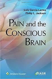 Pain and the Conscious Brain