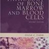 Pathology of Bone Marrow and Blood Cells Second Edition